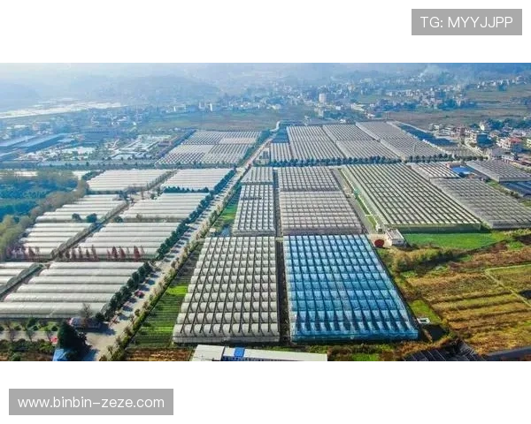 毕节企业家创新驱动发展 迈向经济新高地助力地方产业升级